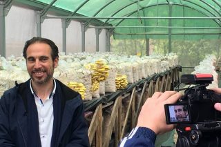 ”O potencial dos bosques galegos para a produción de cogumelos é enorme e axudaría a recuperar o rural”