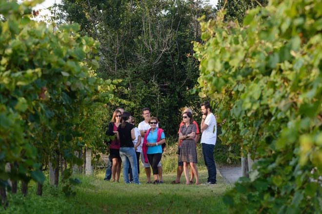 Fin de semana para gozar das xornadas de portas abertas nos Roteiros dos  Viños de Galicia