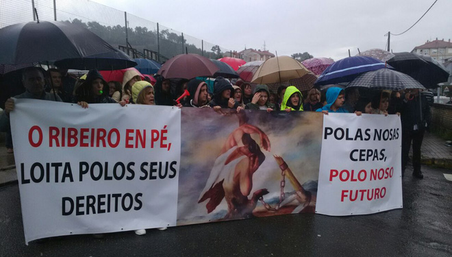Daños de la helada: Más de 1.500 personas exigen en el Ribeiro ayudas para los viticultores