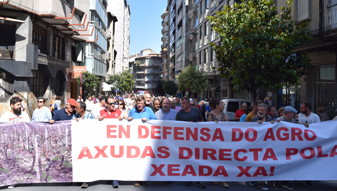 Más de 2.000 viticultores denuncian en Ourense el “abandono” de la Xunta ante los daños de las heladas