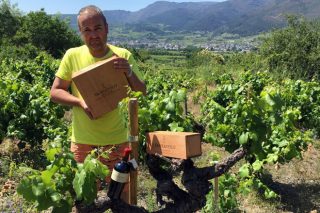 Adega Sampayolo: crowfunding para recuperar os viñedos centenarios de Valdeorras