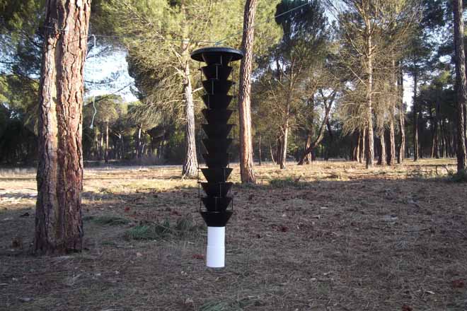 Europa advierte deficiencias en Galicia en el control del nematodo del pino
