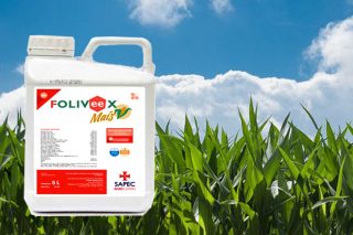 Foliveex Millo: fitonutriente para un mellor desenvolvemento do millo forraxeiro