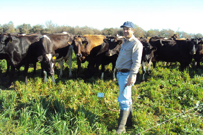 “Os cruces triples e o retrocruce con Holstein son os máis produtivos en pastoreo”