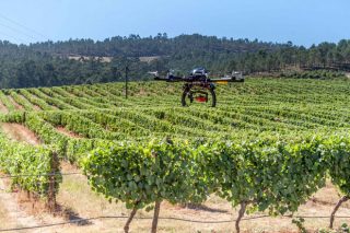 Lugo acollerá un simposio sobre o uso de drons e satélites en agricultura