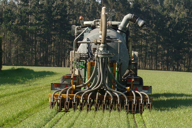 ¿Como mellorar os cultivos de millo e herba cun uso máis eficiente do nitróxeno?