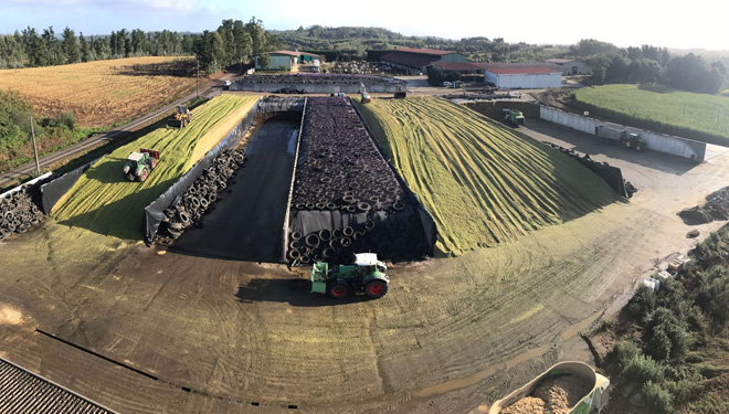 Vídeos da colleita de millo forraxeiro en Galicia
