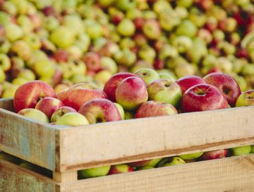 Seminario sobre cultivo e importancia da mazá de mesa e sidra en Galicia