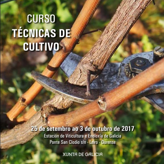 Últimos días para matricularse en el curso de la Evega sobre técnicas de cultivo en viticultura
