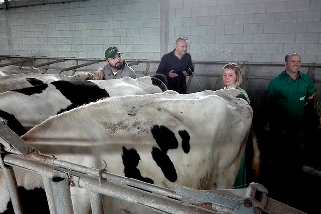 Mazaricos imparte por primeira vez un curso de inseminación de vacas