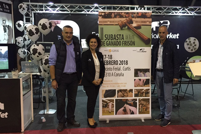 Embriomarket organiza una subasta de ganado frisón de élite de ganaderías de toda Galicia