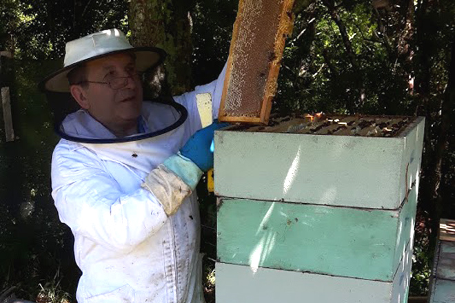 “O apicultor ten que diversificar: ademais do mel, o pole ou o propóleo son moi demandados”