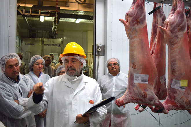 Primeiros pasos para aproveitar o gran potencial de mercado do cordeiro e o cabrito de Galicia
