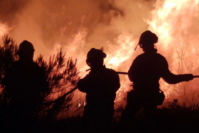 Cursos en extinción de incendios y en aspectos de la industria forestal