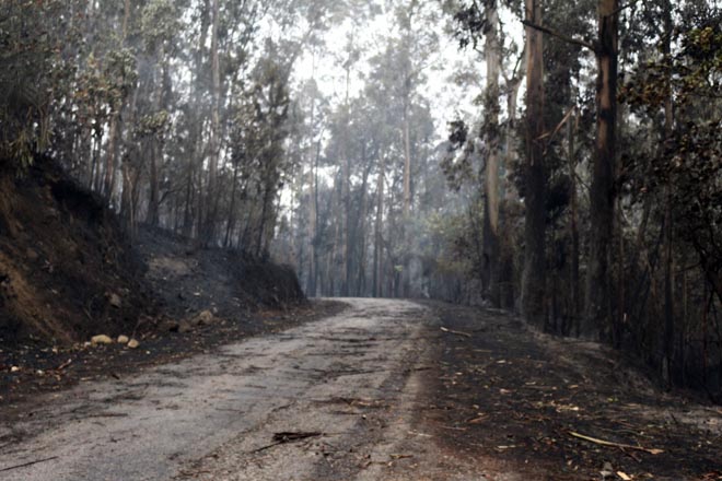 Reunión en Ponteareas de comunidades de montes e propietarios forestais afectados polos lumes