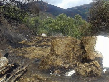 A Xunta destinará 4 millóns en axudas a agricultores e gandeiros afectados polos lumes