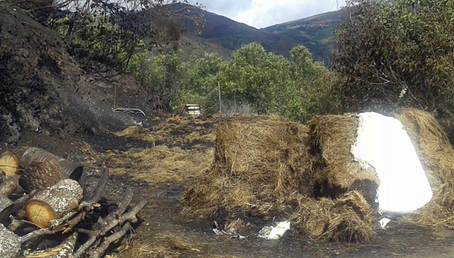 Lumes forestais: A Xunta anuncia axudas para gandeiros e agricultores afectados