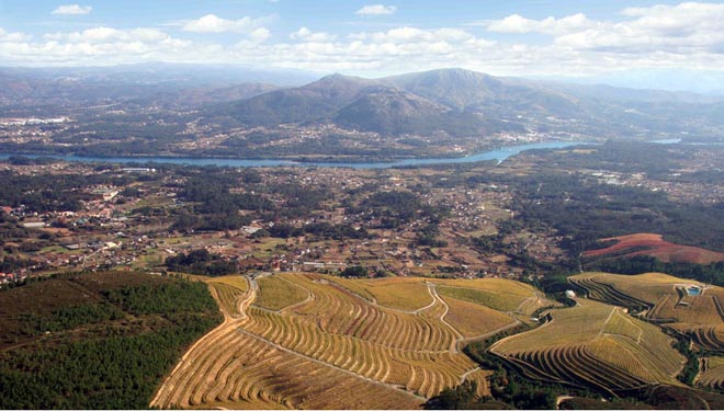 Altos de Torona, the largest vineyard in Rías Baixas
