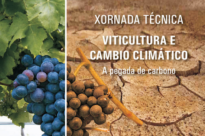Xornadas Técnicas: “Viticultura e Cambio Climático. A pegada de carbono”