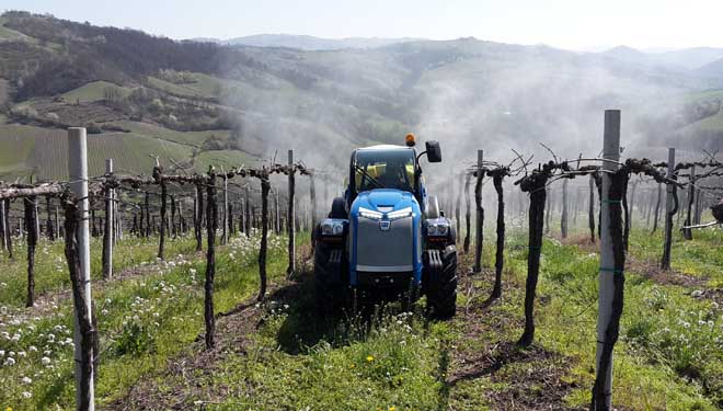 ¿Quedan residuos procedentes de pesticidas no viño e nos solos?