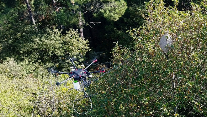 Os drons: ¿A gran esperanza para combater a Vespa Velutina?