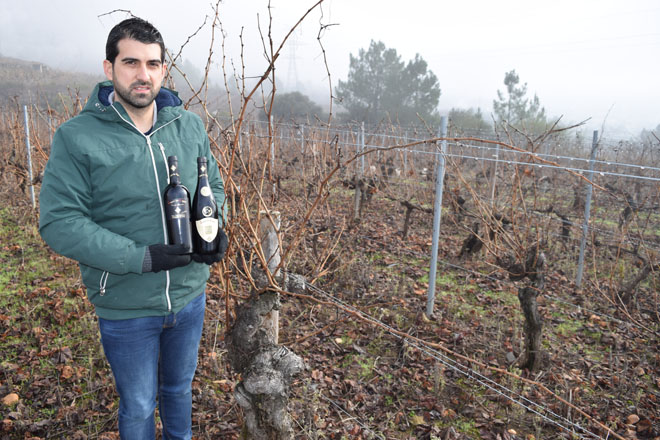 Lagar do Cigur: viños exclusivos de colleiteiros de Valdeorras