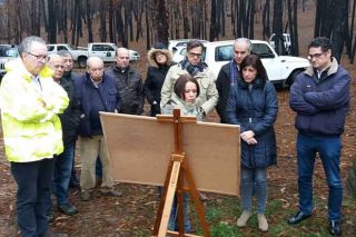 Medio Rural valora a proposta dun plan de restauración de montes queimados