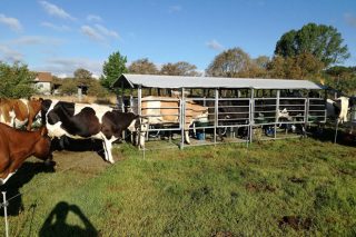 Xornada sobre as vantaxes e inconvintes do monomuxido en vacas de leite