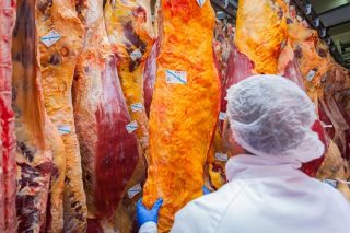 O Sindicato Labrego denuncia prácticas abusivas por parte de matadoiros e operadores cas ganderías de vacún de carne