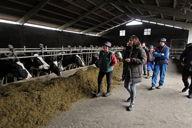 A Xunta solicitará este mes declarar a provincia de Pontevedra como libre de tuberculose bovina