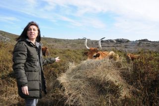 Medio Rural confirma que os gandeiros afectados polos lumes cobrarán a PAC e poderán facer pastoreo