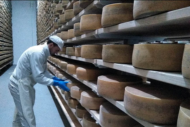 Galmesano, un queso ‘top’ singular en Galicia