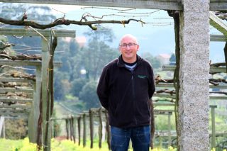 “Temos todo por facer en Galicia na selección das variedades autóctonas de viñedo”