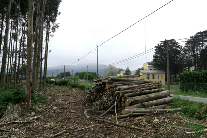 Traballos de limpeza de faixas de protección no concello de Ribadeo