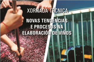 Viños fermentados en granito ou envellecidos no mar: Xornada da Evega sobre novas tendencias de elaboración