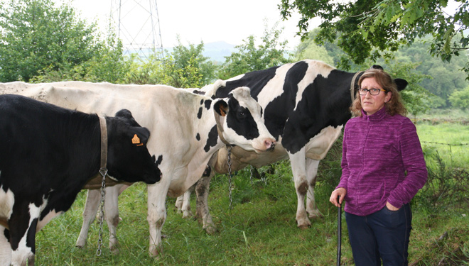 Casa Paulos: «Estábamos produciendo leche en ecológico pero sin cobrar por ello»