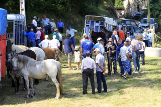 A Espiñeira, no concello de Foz, celebra este domingo a súa tradicional feira cabalar