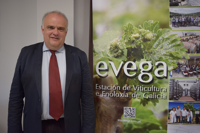 “O viño español pode quedar fóra do mercado se non aposta por variedades de vide resistentes a mildiu e oídio”