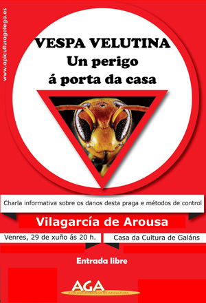Charla informativa este venres en Vilagarcía de Arousa sobre a Vespa Velutina