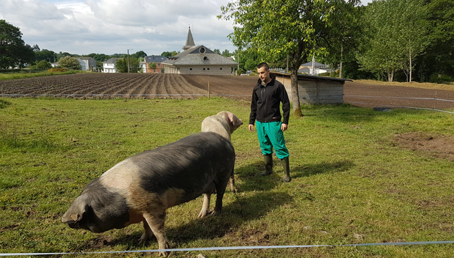 “Prevemos aumentar este ano un 15% a produción de carne de Porco Celta 100% Raza Autóctona”