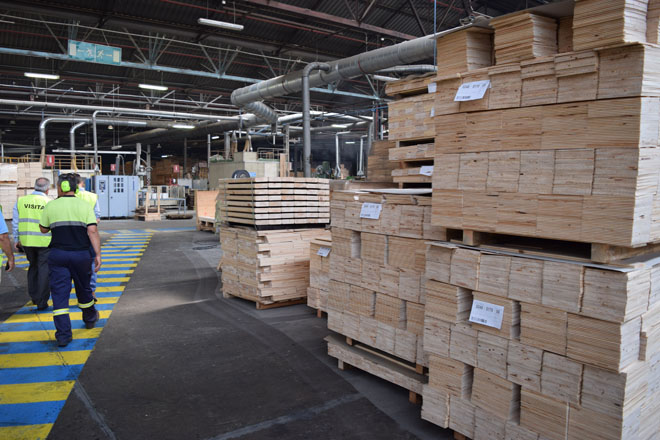 Finsa, la principal industria compradora de madera de pino en Galicia, valora un ERTE por el descenso de las ventas