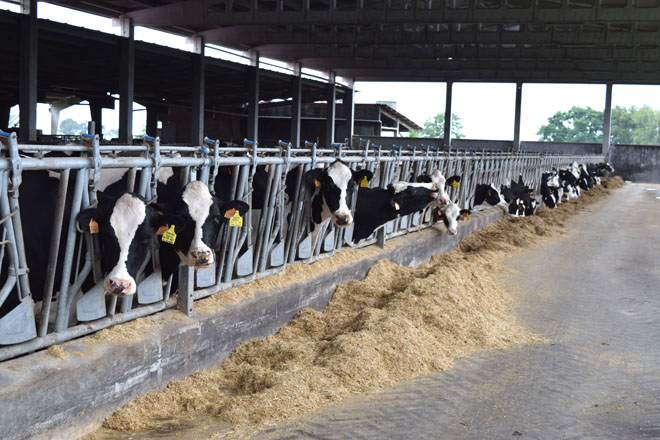 Convocados los premios Exceleite a las mejores ganaderías de vacuno de leche de Galicia