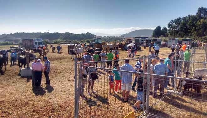 La parroquia de Cangas, en Foz, celebra el domingo 19 su recuperada feria anual de ganado