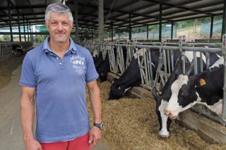 Casa Devesa: Unha gandería que aposta pola polpa de mazá na ración das vacas