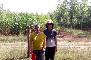 Corea do Sur e Indonesia botan man da universidade galega para mellorar a sustentabilidade do agro