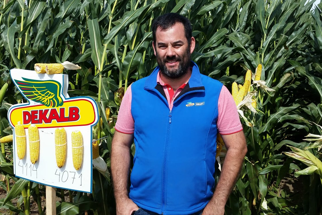 Dekalb presenta en Galicia dúas novas variedades de millo forraxeiro