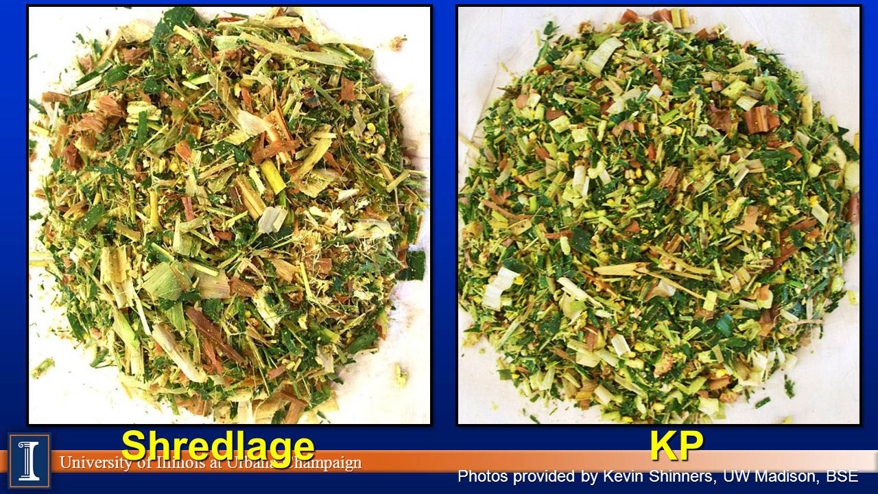 Ventajas del sistema de procesado de maíz “Shredlage®”