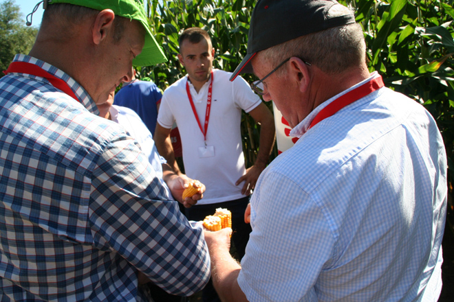 Delagro expone los resultados de sus primeros ensayos de maíz en Finca Mouriscade