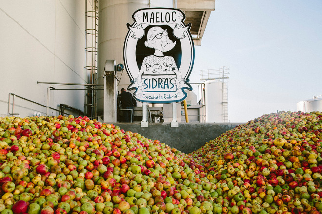 Custom Drinks compró este año 2,5 millones de kilos de manzana gallega
