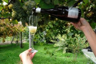 Fin de semana para desfrutar dos viños espumosos galegos en Salvaterra